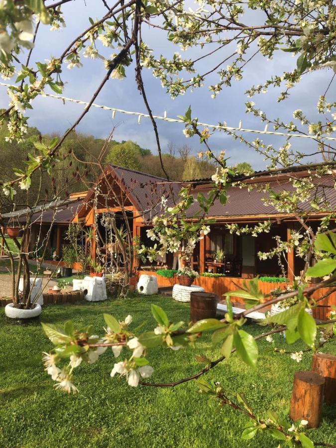 Langa Stana Hotel คูร์ตา เด อาร์เจช ภายนอก รูปภาพ
